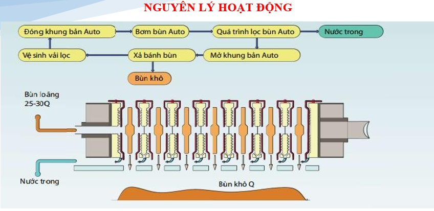 nguyen-ly-hoant-dong